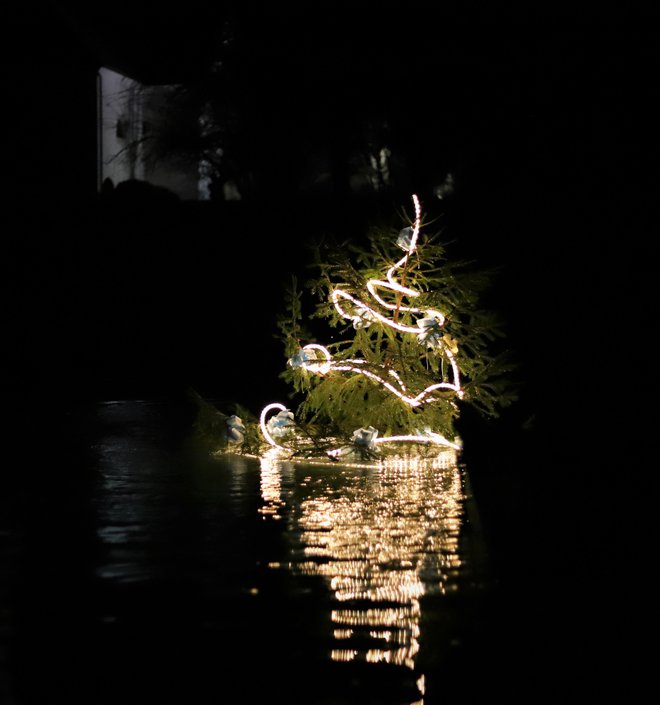 Nočni pogled na osvetljeno drevesce sredi reke FOTO: Alenka Kociper