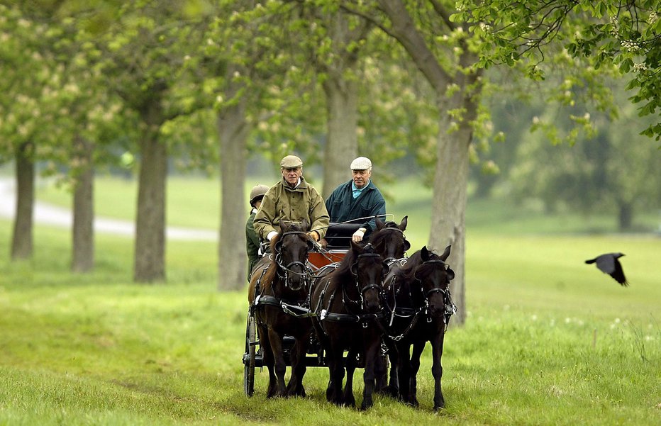 Fotografija: Princ Filip je kljub 97 letom še vedno izjemno aktiven, tudi za vajeti konjske vprege večkrat poprime. FOTOGRAFIJE: Guliver/getty Images