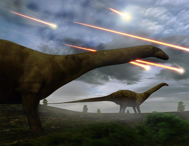 Dinozavri trka niso preživeli. FOTO: Guliver/getty Images