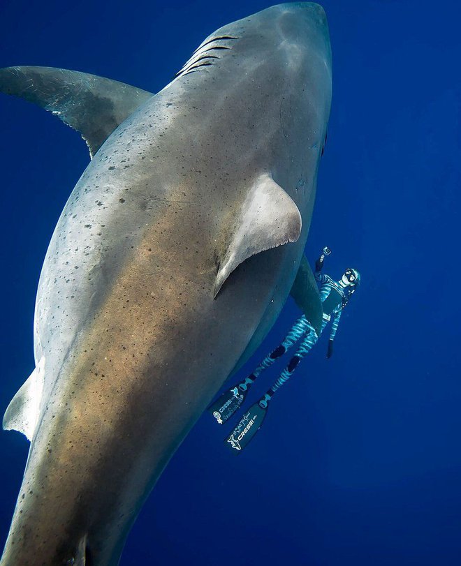 Za Ocean Ramsey je bilo to eno od najlepših doživetij. FOTO: Reuters