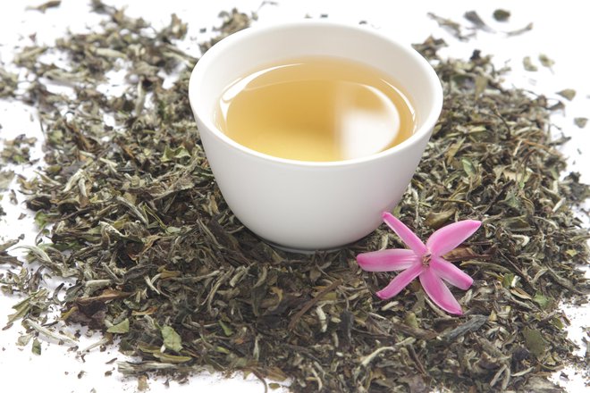 Beli čaj vsebuje antioksidant, ki pospešuje obnovo celic in blaži gubice. FOTO: Guliver/Getty Images