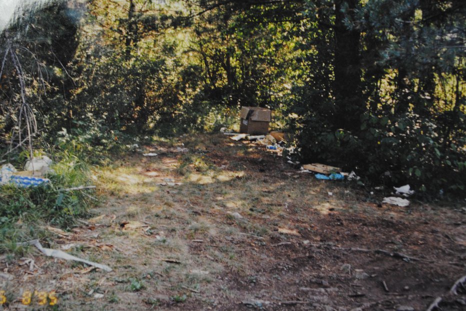 Fotografija: Kraj, kjer so našli vozilo z mrtvim Radom Bednarikom