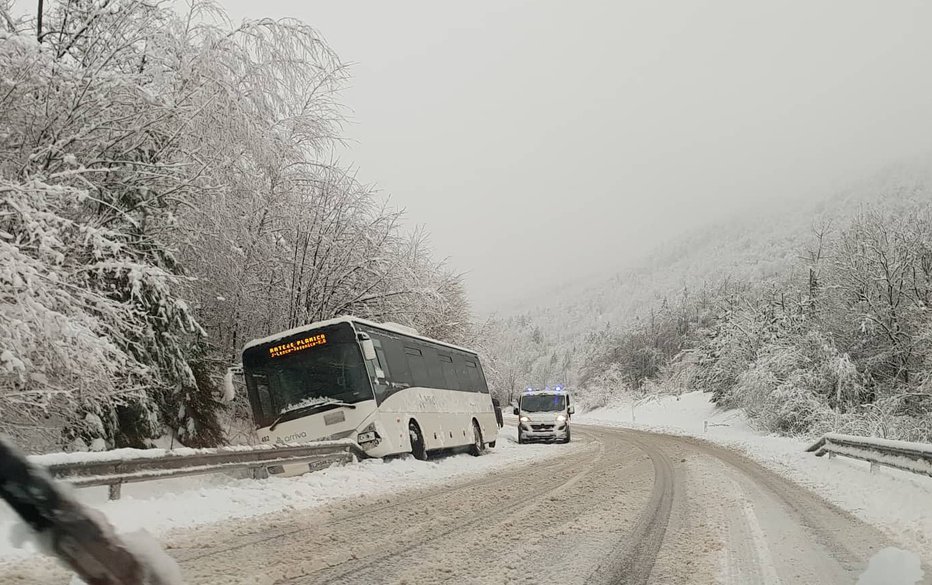 Fotografija: Avtobus je odneslo s ceste. FOTO: Andraž Sodja