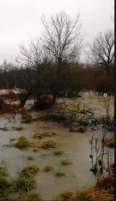 Reka Reka v zgornjem toku že poplavlja FOTO: Facebook