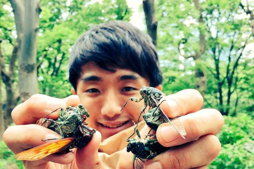 Fotografija: Japonski mladenič se spozna na žuželke.
