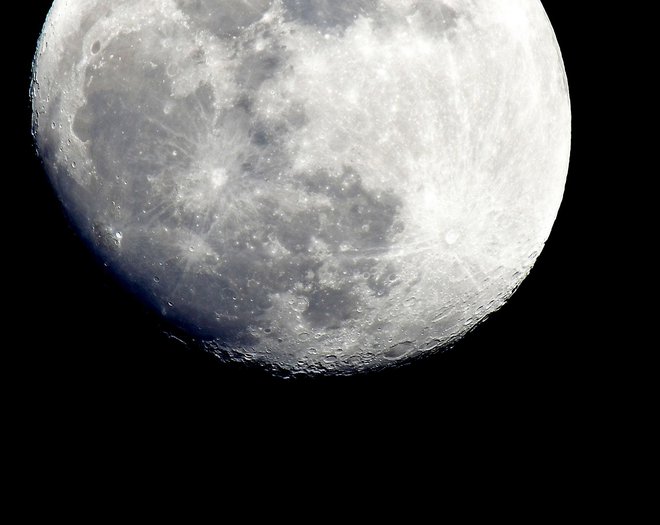 Luna. FOTO: Egon, bralec poročevalec