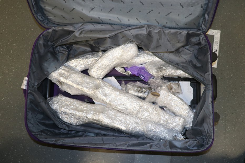 Fotografija: Vse to so našli v kovčku enega od potnikov. FOTO: PU Novo mesto