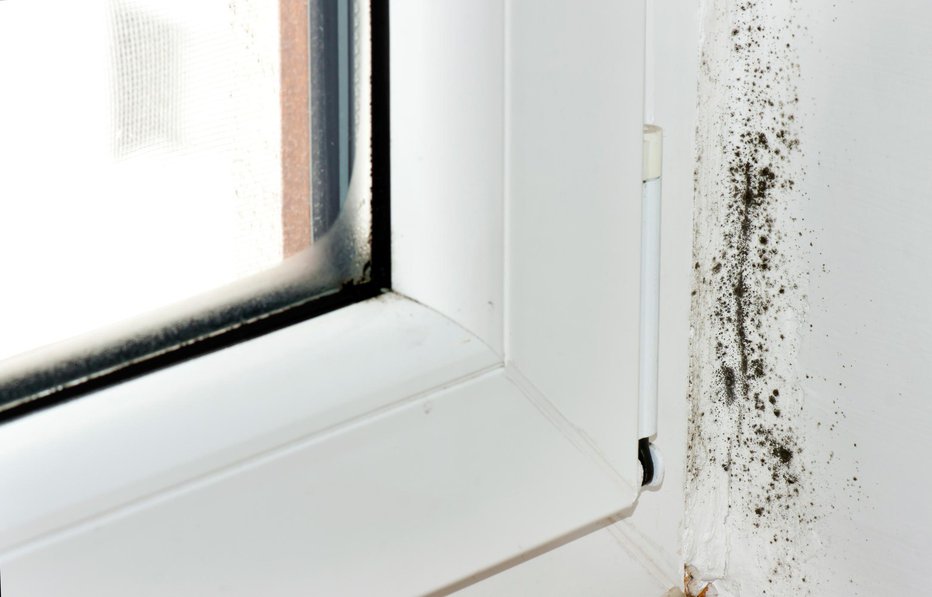 Fotografija: Plesen na stenah je premagljiva brez kemičnih čistil. FOTO: Thinkstock