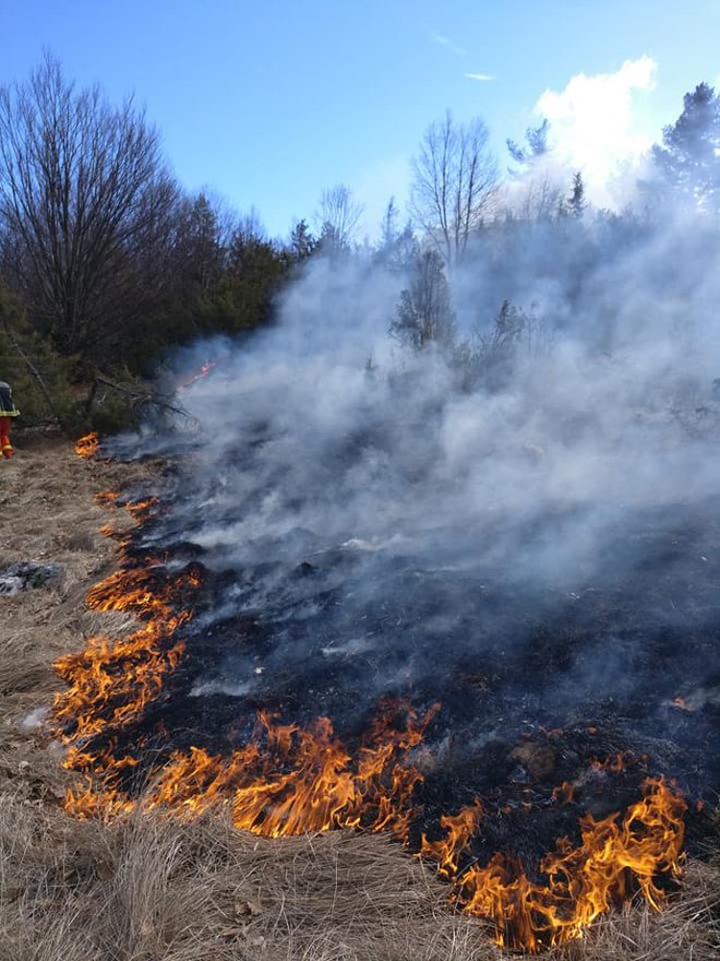 Požar se je na območje Žabnika razširil s hrvaške strani. FOTO: PGD Materija