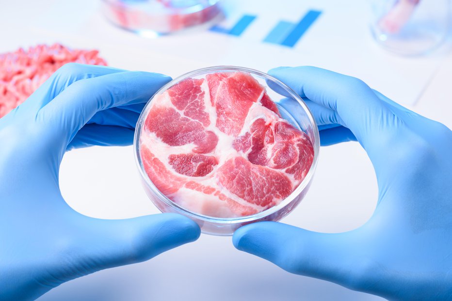 Fotografija: Že čez pet let bi lahko v laboratoriju narejeno meso kupovali v trgovinah. FOTO: Guliver/Getty Images