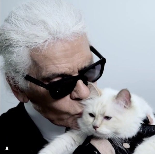 Fotografija: Lagerfeld je svojo mačko oboževal. FOTO: INSTAGRAM