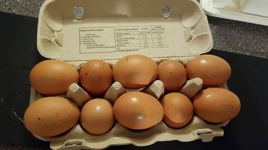 Fotografija: Bralčeva jajca. FOTO: Pero, bralec poročevalec