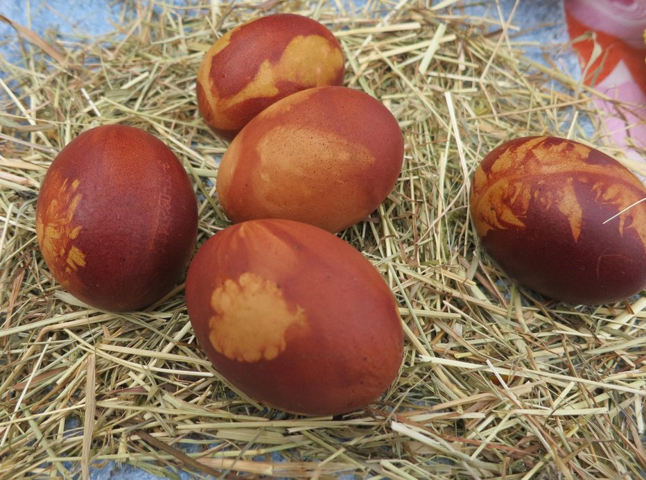 Fotografija: Za barvanje so najboljša trdo kuhana jajca. FOTO: Arhiv