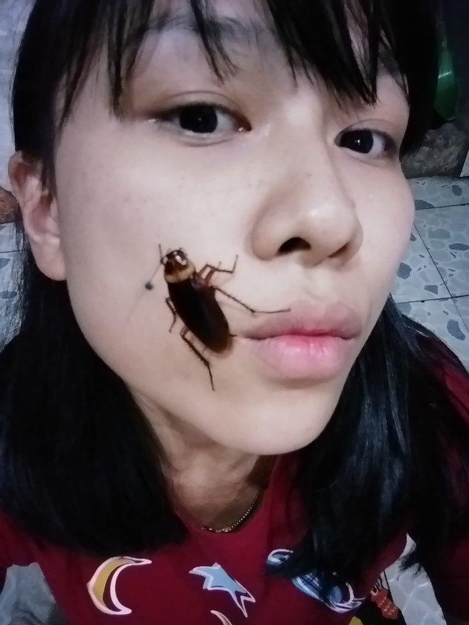 Ščurki lahko povzročajo alergije.