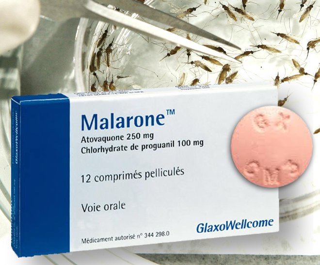 Če odhajate v države, kjer je prisotna malarija, ne pozabite vzeti s seboj tablet zoper malarijo. FOTO: Reuters