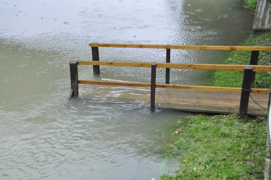 Fotografija: Bralec Mirko poroča o reki Krki, ki bo danes čez dan spet naraščala in lahko poplaviti. FOTO: Bralec Miran
