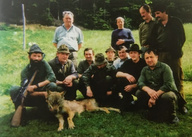 Uplenjeni volk v Novakih leta 1995 FOTO: osebni arhiv
