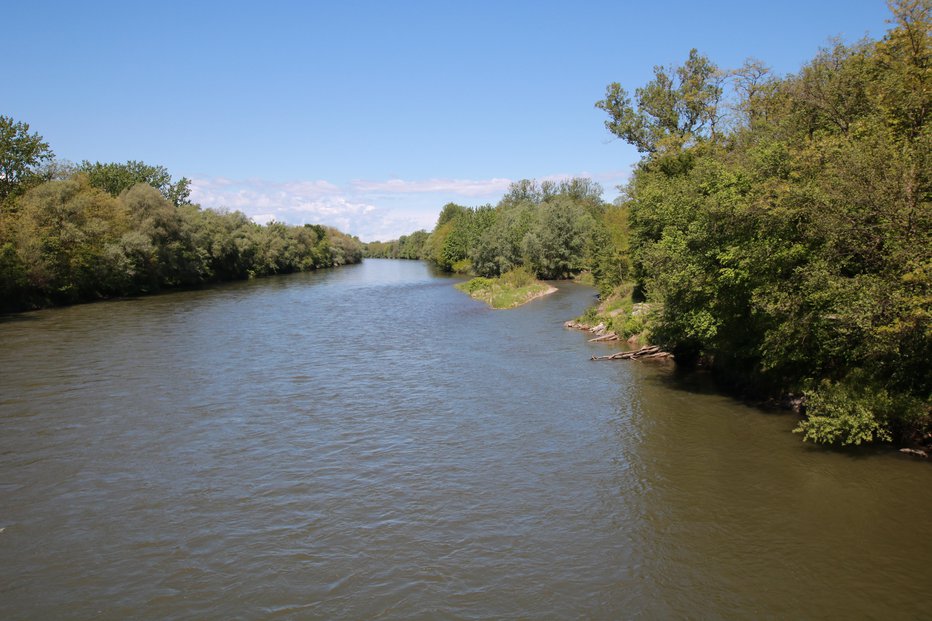 Fotografija: Unesco je območje Mure razglasil za biosferno območje, Društvo za proučevanje rib Slovenije in Zveza društev za obvarovanje reke in sonaravni razvoj ob Muri pa sta opozorila na vplive na reko, ki sodi s svojimi pritoki med biotsko najbogatejša območja v Sloveniji in Evropi ter predstavlja življenjski prostor številnih ogroženih in zavarovanih rastlinskih in živalskih vrst. FOTO: Jože Pojbič