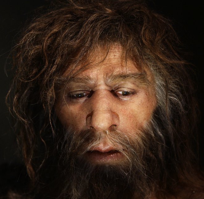 Antropologi poskušajo že desetletja ugotoviti, zakaj so izumrli neandertalci. Foto: REUTERS