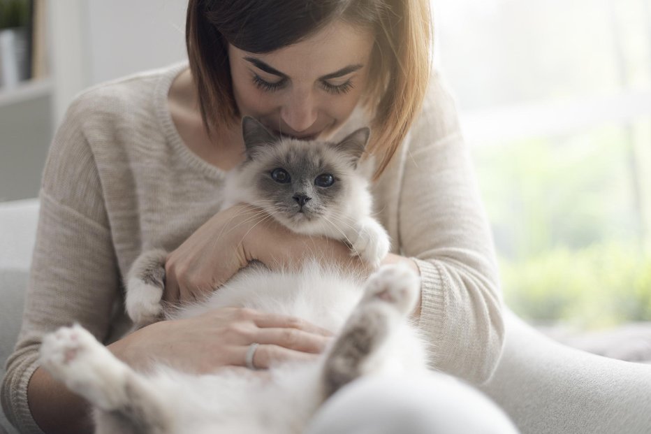 Fotografija: V družbi mačke je življenje lepše. FOTO: Thinkstock