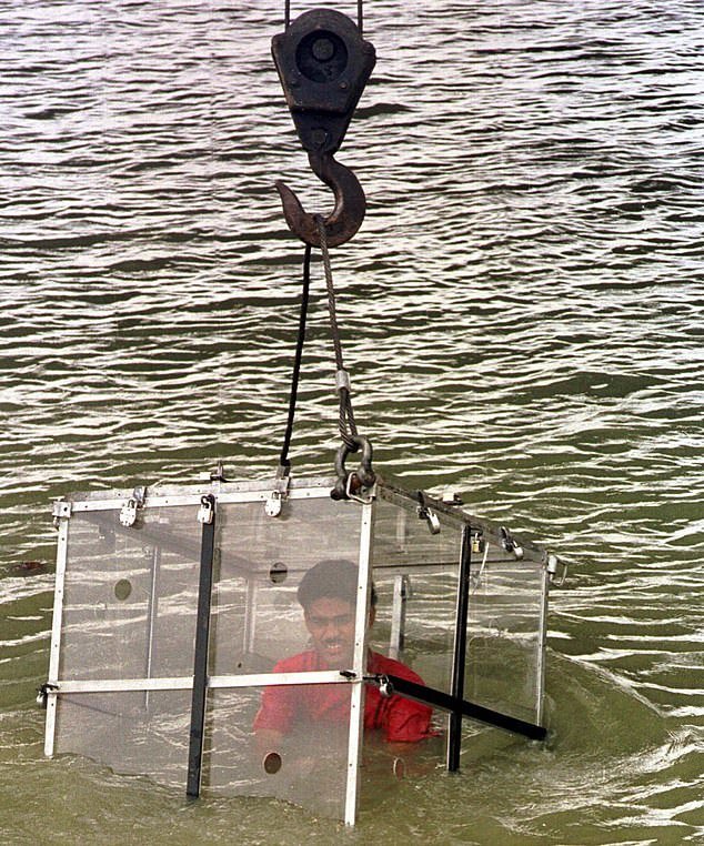 Fotografija: Potopil se je tudi v stekleni kletki. FOTO: Fb