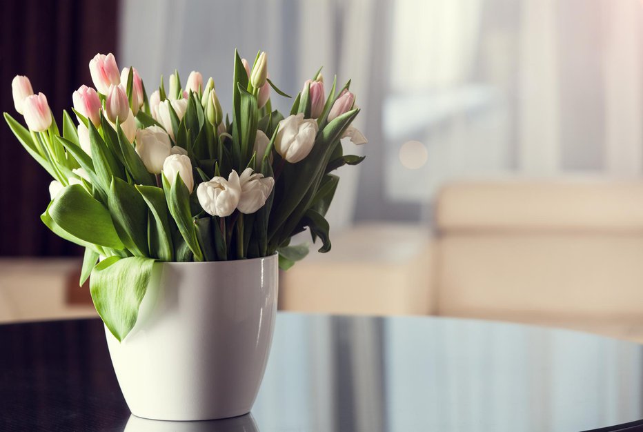 Fotografija: Tulipani v vazi ne marajo neposrednega sonca. FOTO: Thinkstock