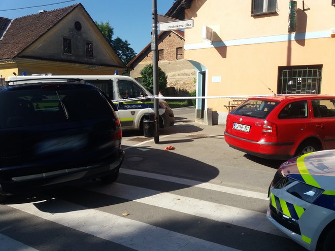 Policija je pridrvela na kraj v ljubljanskem Šentvidu. FOTO: B. C.