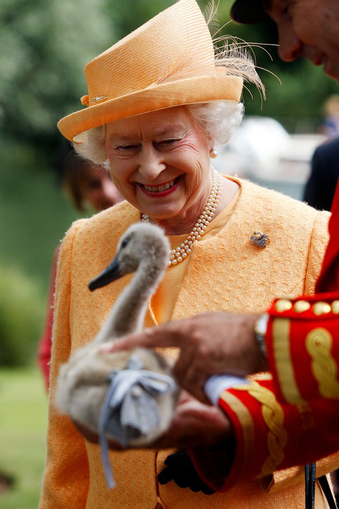 Elizabeta II. je bila prvi britanski vladar po nekaj stoletjih, ki si je ogledala označevanje labodov. FOTO: Guliver/getty Images