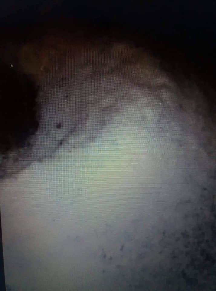 Fotografija: Toča je ponoči ob močni in zelo eksplozivni nevihti ponekod v Prekmurju uničevala pridelke. FOTO: facebook.com/stormchasersslovenija
