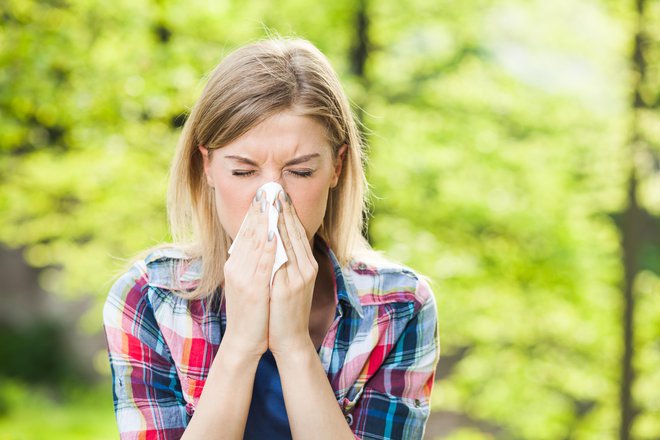 Alergija zaradi cvetnega prahu ambrozije se lahko pojavi tudi na območjih, kjer rastline še ni. FOTO: Guliver/Getty Images