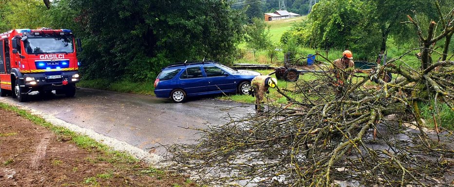 Fotografija: Na Brdu pri Ihanu se je na cesto podrlo drevo. FOTO: Czr Domžale