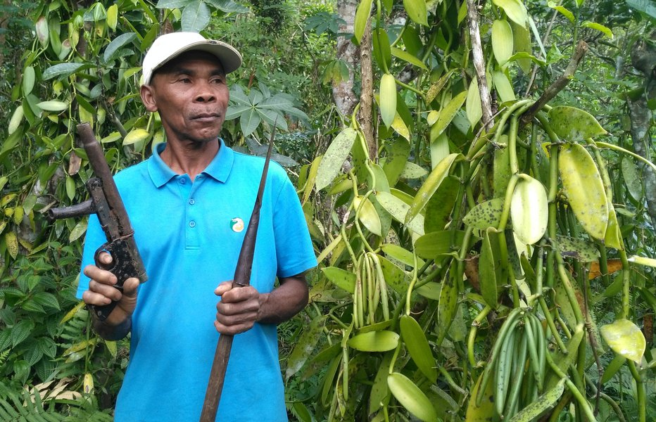 Fotografija: Vanilla farmer Jao Nasaina holds a spear and a handmade gun as he patrols at his plantation, to guard the crop against thieves, in Ambavala, near Andapa, Sava region, Madagascar July 14, 2018. Picture taken July 14, 2018. REUTERS/Clarel Faniry Rasoanaivo - RC1629C6C830