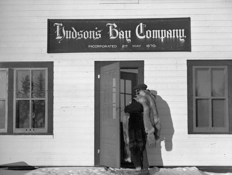 Fotografija: Še leta 1946 je Hudson Bay Co. odkupoval krzno.