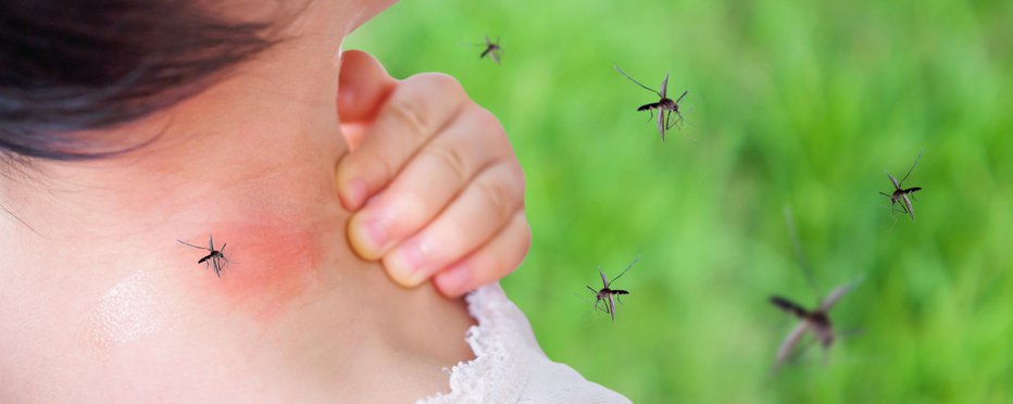 Fotografija: Piki komarjev so neprijetni in srbeči. Fotografiji: Guliver/Getty Images