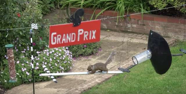 Fotografija: Na cilju veverice čaka slastna nagrada.
