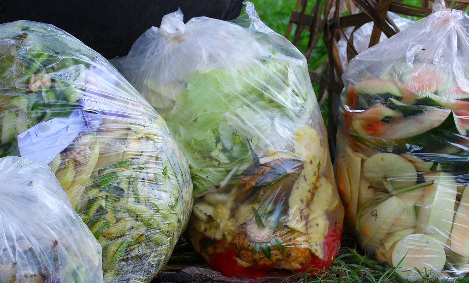 Fotografija: Odpadne hrane je tudi v Sloveniji veliko. Foto: Shutterstock FOTO: Shutterstock