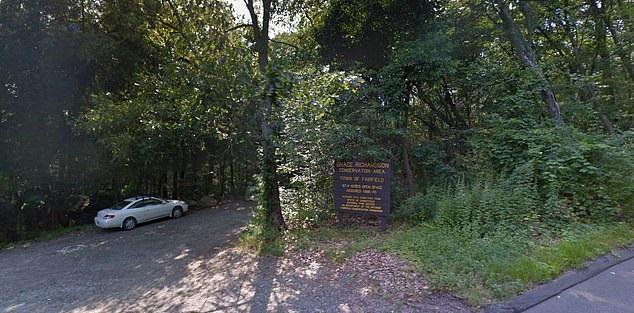 Fotografija: V gozdiček se pogosto zatekajo zaljubljenci. FOTO: Google Maps