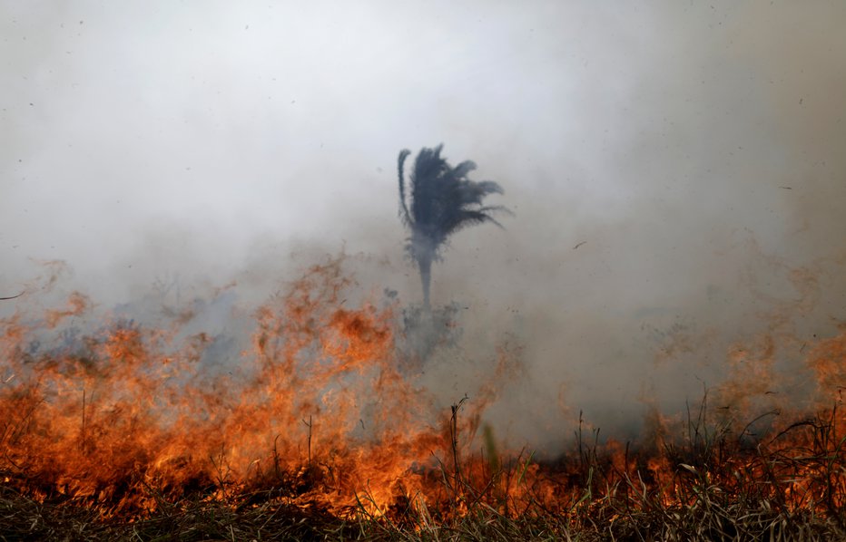 Fotografija: Po podatkih brazilskega nacionalnega inštituta za raziskave vesolja (Inpe) je bilo na območju, velikem kot 160 Slovenij (3,2 milijona kvadratnih kilometrov), od januarja do danes več kot 74.000 manjših ali večjih požarov. Foto: Reuters
