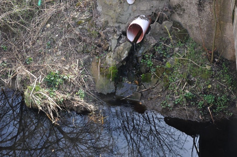 Fotografija: Kdo onesnažuje potok? FOTO: G. S.