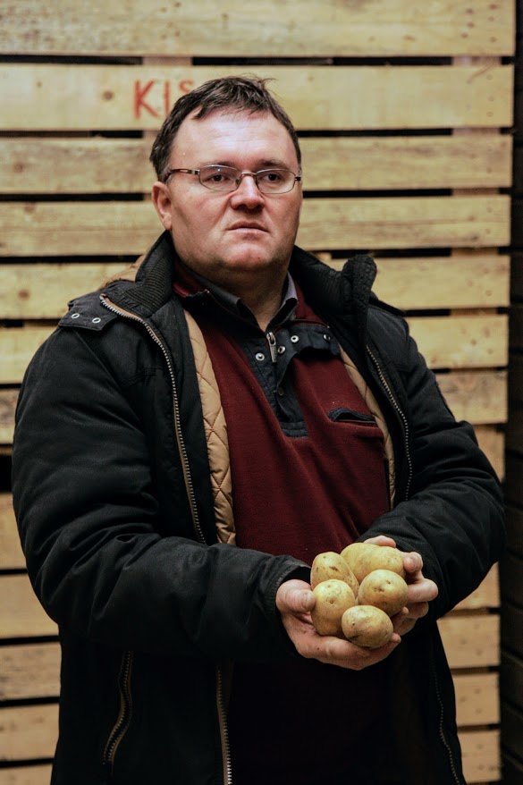 Fotografija: »Pridelava krompirja je ekonomsko gledano zanimiva tudi za manjše pridelovalce,« meni dr. Peter Dolničar. FOTO: Jaroslav Jankovič