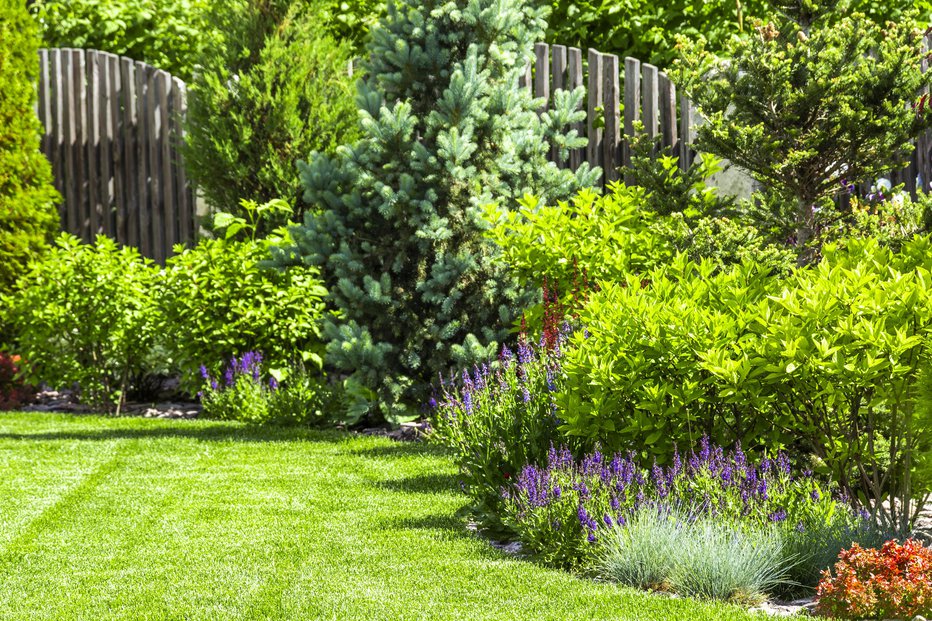 Fotografija: Okrasni vrt je lahko zelen in pisan vse leto.