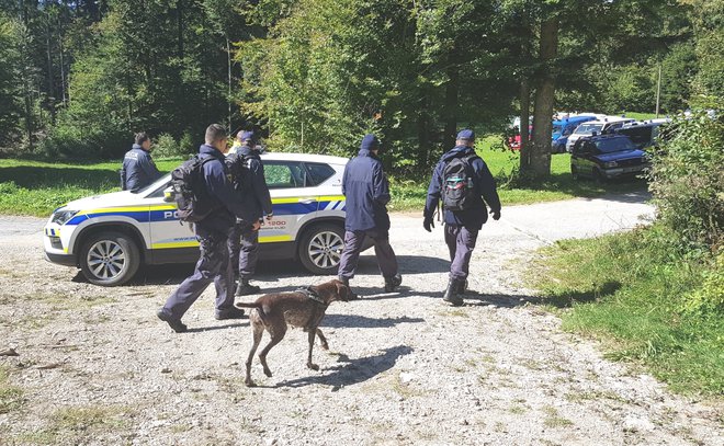 Moškega že več dni iščejo policisti, gasilci, gorski reševalci, lovci in domačini. FOTO: PU Nova Gorica