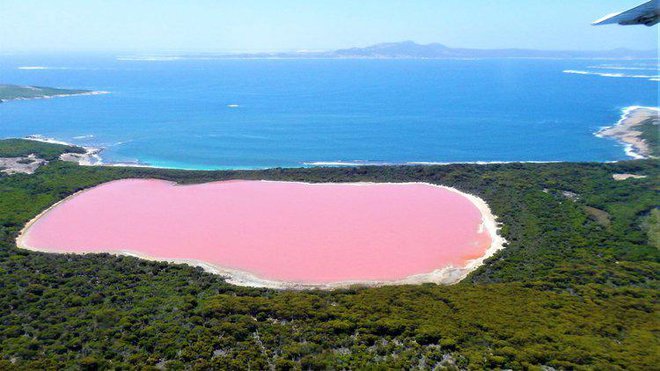 Znanstveniki domnevajo, da mu roza barvo dajejo bakterije, ki živijo v solni skorji jezera.