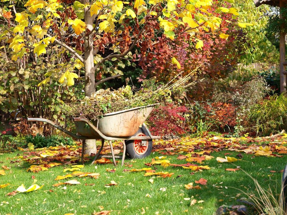Fotografija: Oktobra bodo razmere na vrtu močno odvisne od naklonjenosti vremena. FOTO: Shutterstock