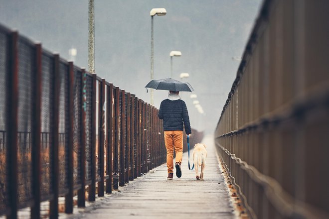 Budilko je treba naravnati na uro prej in psa odpeljati na sprehod ne glede na vreme. FOTO: Guliver/Getty Images
