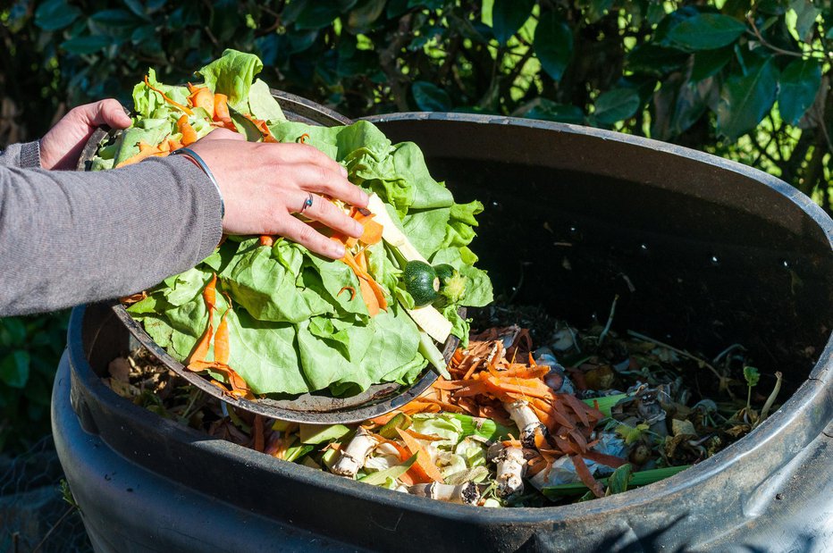 Fotografija: Večino organskih odpadkov iz kuhinje lahko damo na kompost. FOTO: Guliver/Getty Images