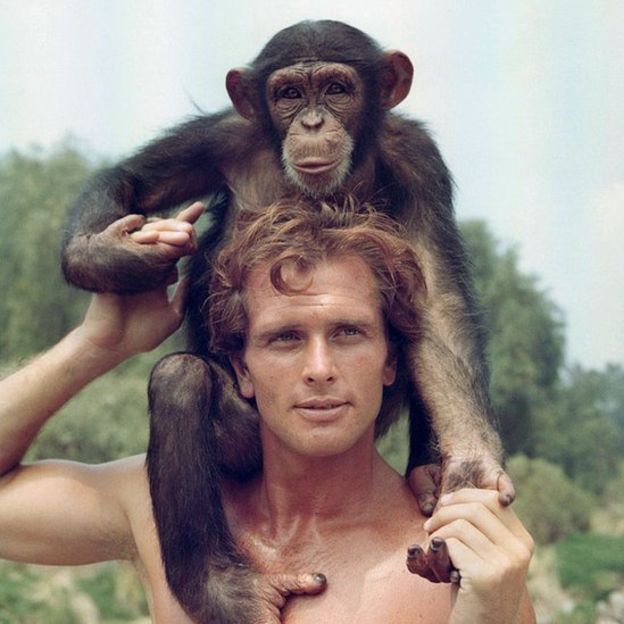 Fotografija: Zaslovel je kot televizijski Tarzan.