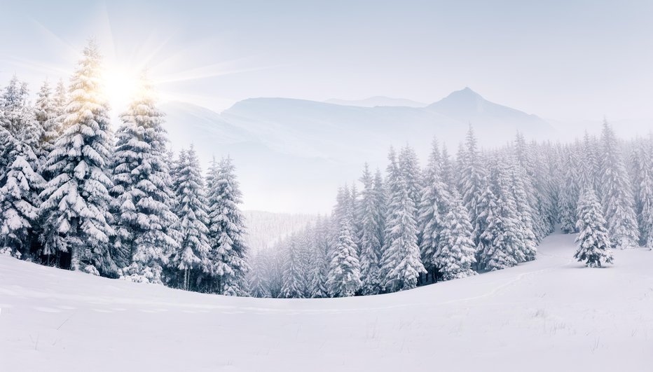 Fotografija: Snega pri nas še ni na vidiku, v zahodnih Alpah pa ga lahko pričakujejo obilno pošiljko. FOTO: Getty Images/iStockphoto