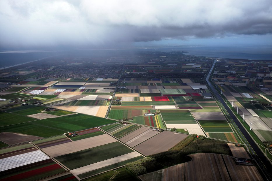 Fotografija: An aerial view of tulip fields in Den Helder, Netherlands April 22, 2017. Picture taken April 22, 2017. REUTERS/Cris Toala Olivares - RC1251B4F800 FOTO: Cris Toala Olivares Reuters