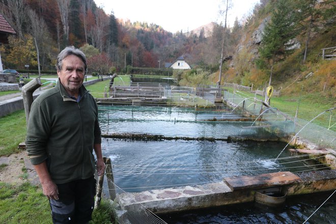 Janez Meglič je moral po hudi uri za ribogojnico dokupiti kar tono rib. Foto: Dejan Javornik